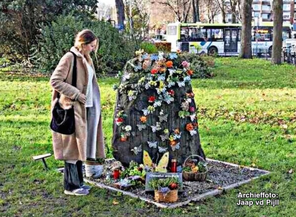 ÉénHoorn: Vlinderrots beter toegankelijk maken.